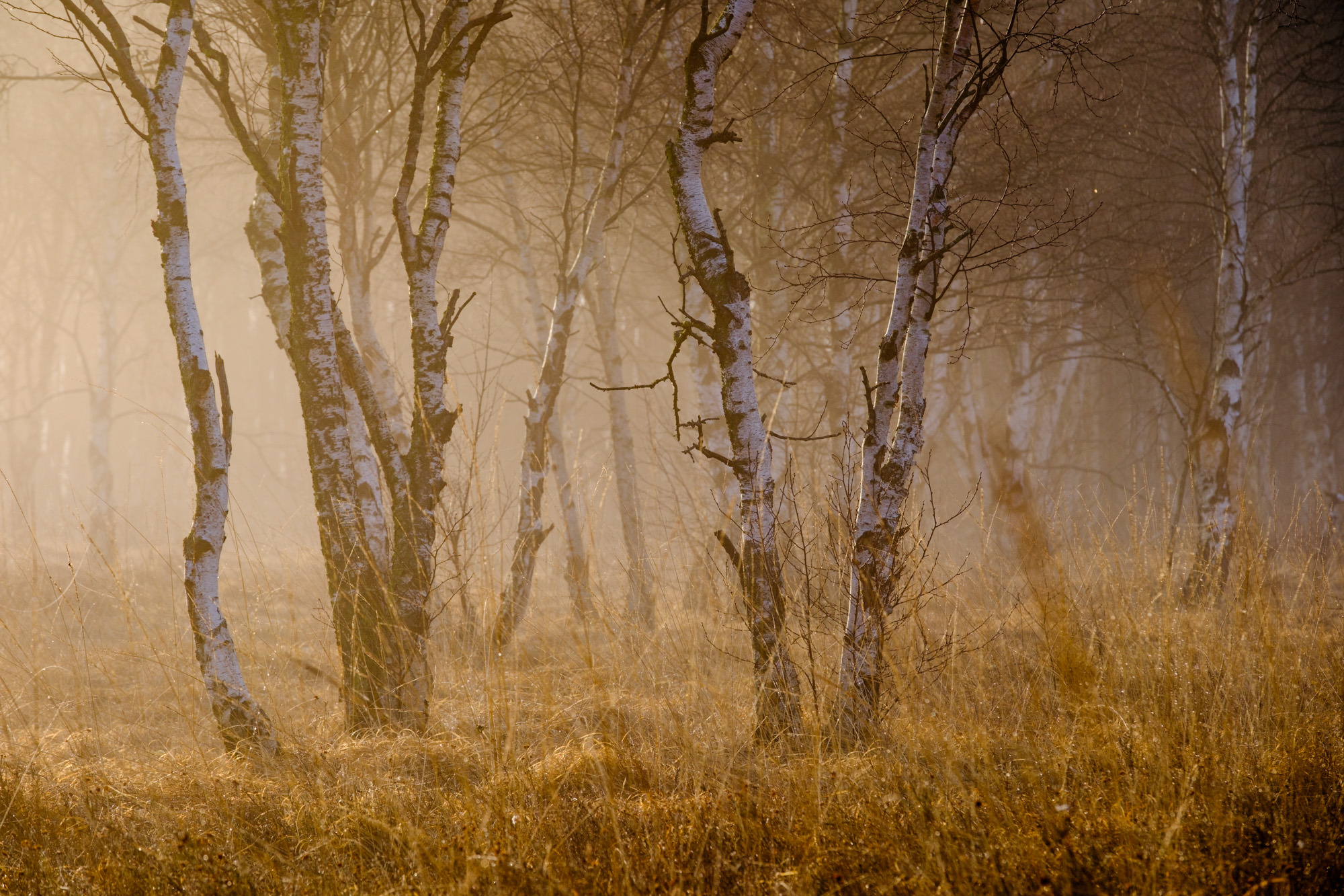 2023 03 19  xt 5   4413